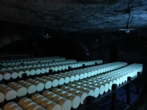 Visitez roquefort société