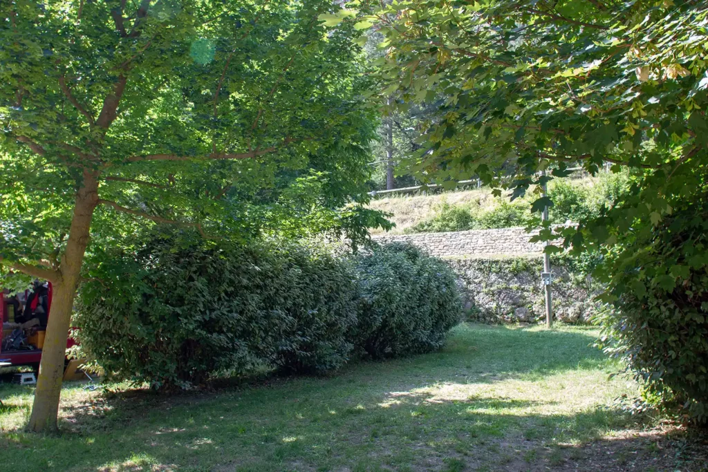 Allée et emplacement au camping des Gorges du Tarn, Lozère.